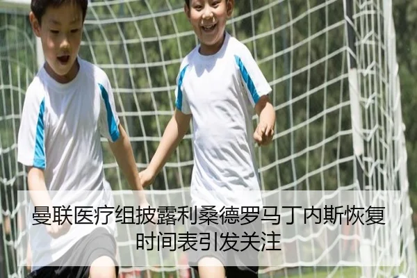 曼联医疗组披露利桑德罗马丁内斯恢复时间表引发关注
