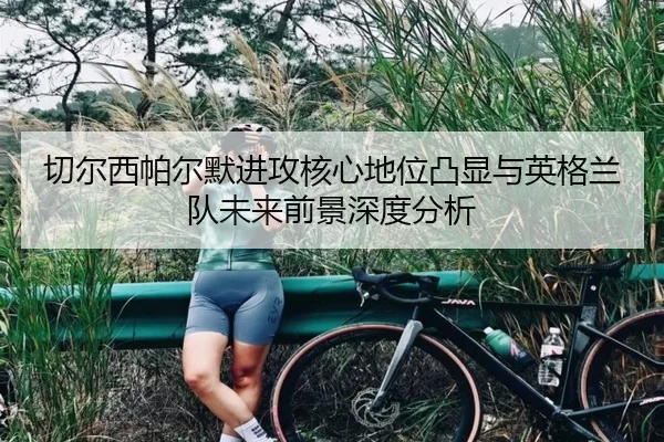 切尔西帕尔默进攻核心地位凸显与英格兰队未来前景深度分析